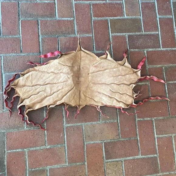 Leather Stained Sun - Picture 2 of 2